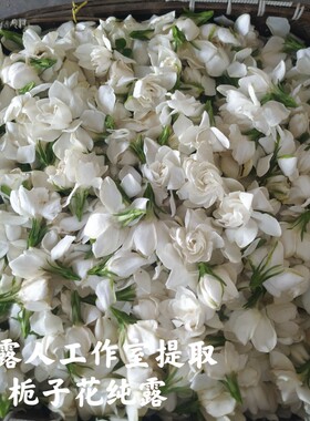 重瓣纯露CLR/采露人补水