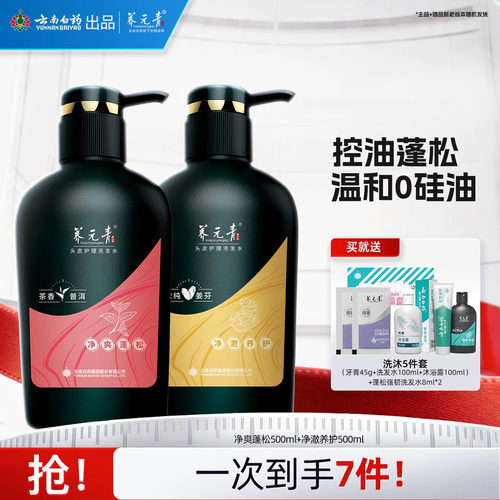 云南白药生姜茶叶组合装500ml*2