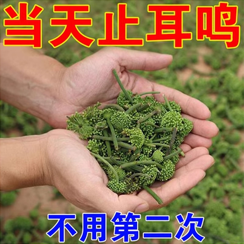 【已冶愈数十万人】耳不鸣耳不聋 一贴灵 永不覆发 买3送2 XA 个人护理/保健/按摩器材 智能洁耳器 原图主图