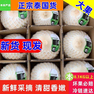 8.1KG以上 9个大果原箱新鲜椰子椰青香椰正宗进口新货 泰国椰青