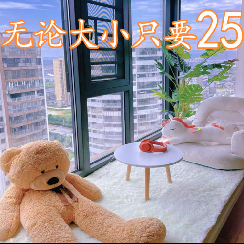 地毯卧室床边毯客厅满铺大面积毛毯垫子家用少女房间宿舍民宿地垫