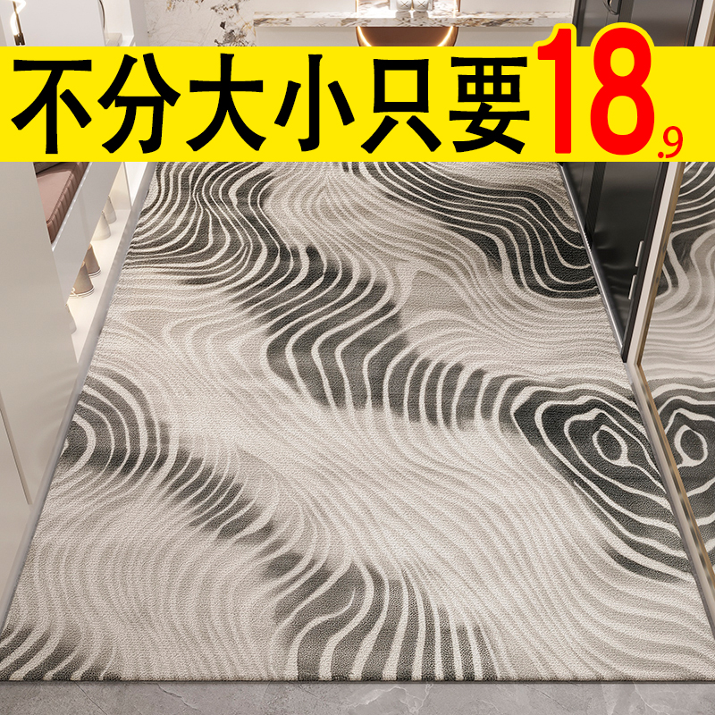 入户门地垫2025新款高级感进门门口脚垫防滑入门门外门垫玄关地毯