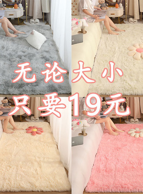 丝毛地毯客厅卧室茶几床边满铺可机洗定制加厚长毛绒飘窗坐垫地垫
