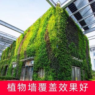 挂墙式 立体室外植物墙花盆垂直组合绿化种植槽容器园林模块种植盒