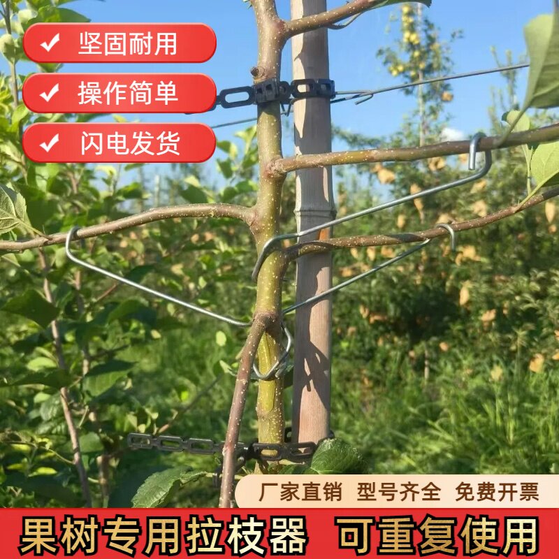 果树开角器拉枝定型神器压枝器别枝器苹果背上侧枝拉枝修剪弯枝器