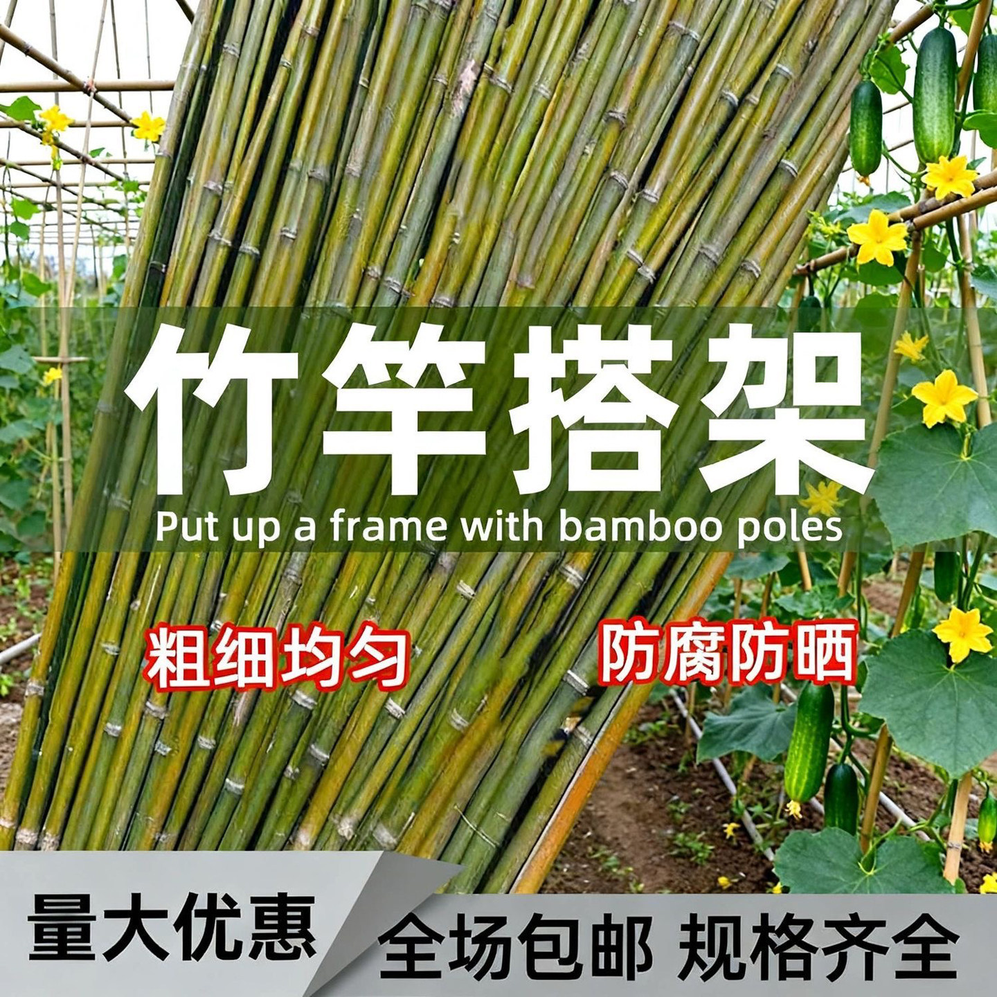 家用园艺竹竿搭架爬藤定型