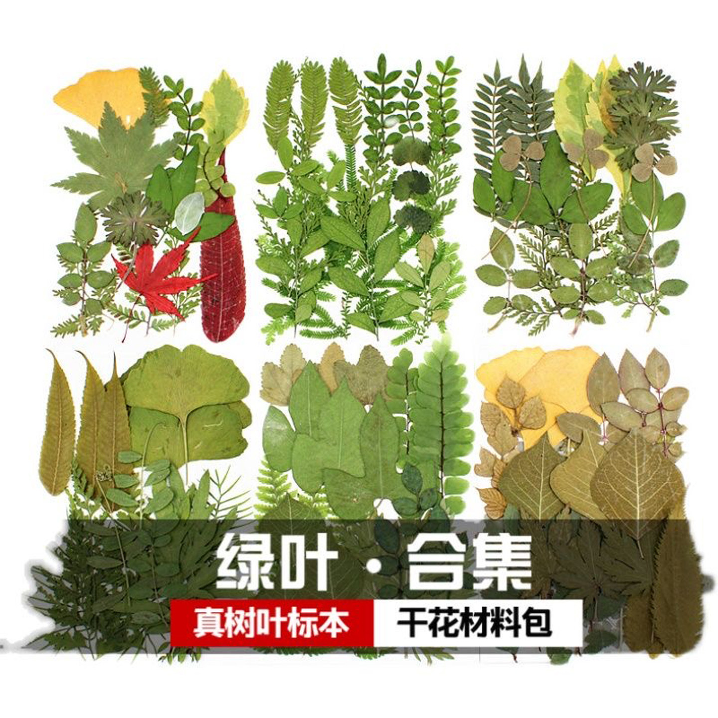 立体叶片组合滴胶仿真绿植摆件