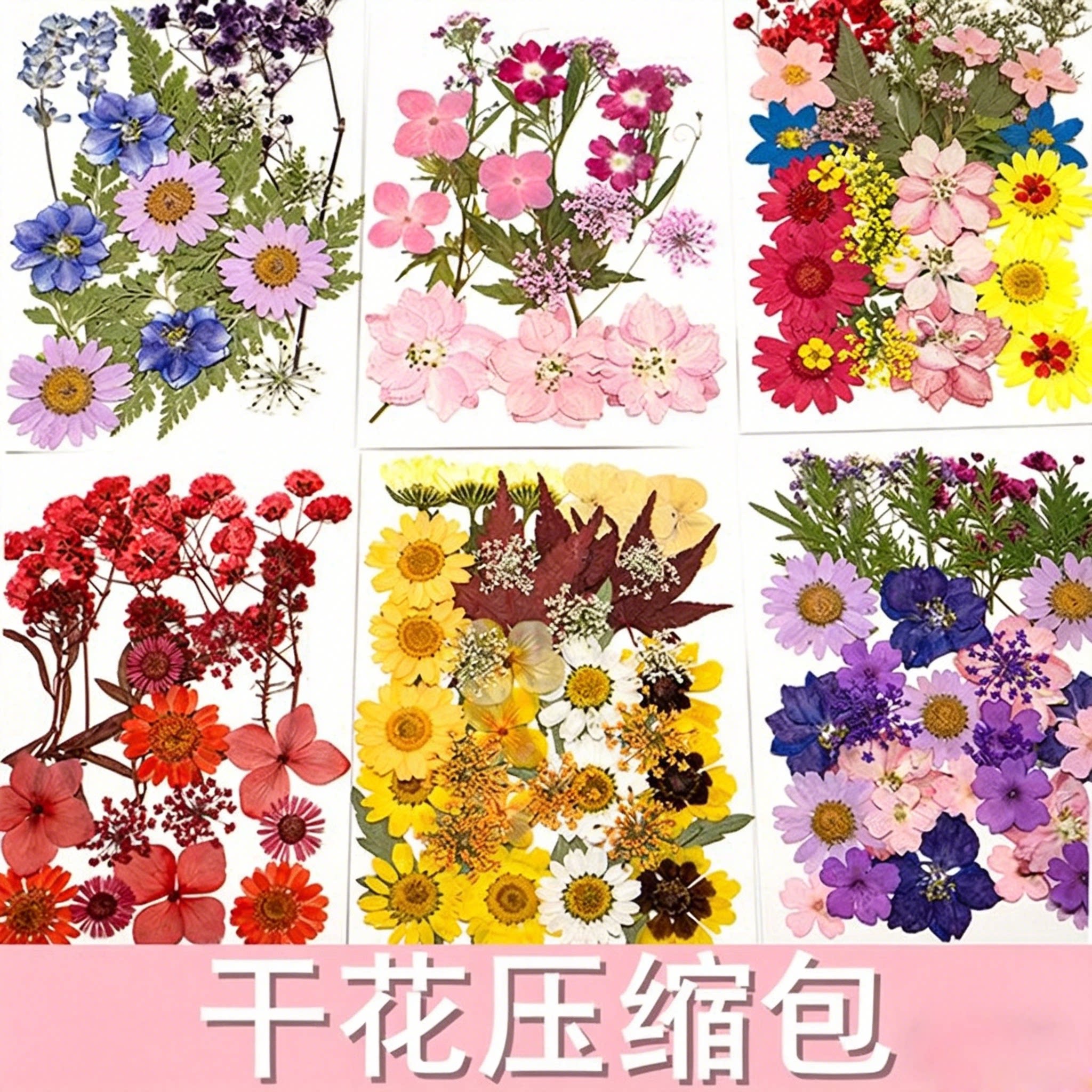 网红干树叶标本滴胶手机壳材料