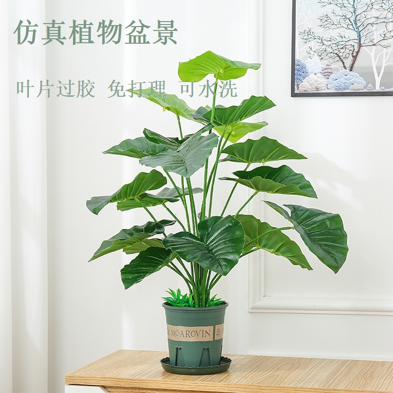 仿真植物盆栽摆件客厅假花仿生绿植滴水观音假树仿真树装饰发财树