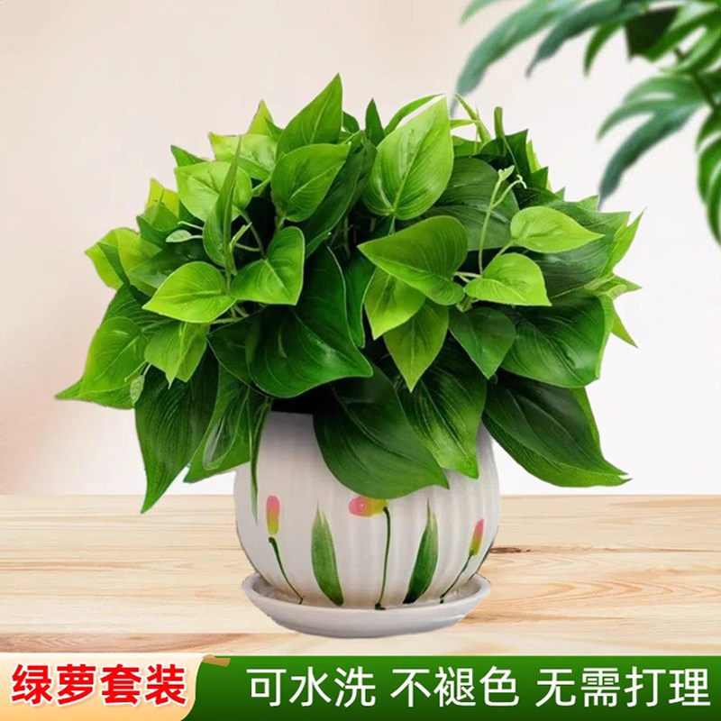 仿真雅兰菊盆栽室内花艺假植物客厅假花电视柜桌面卧室摆饰盆景
