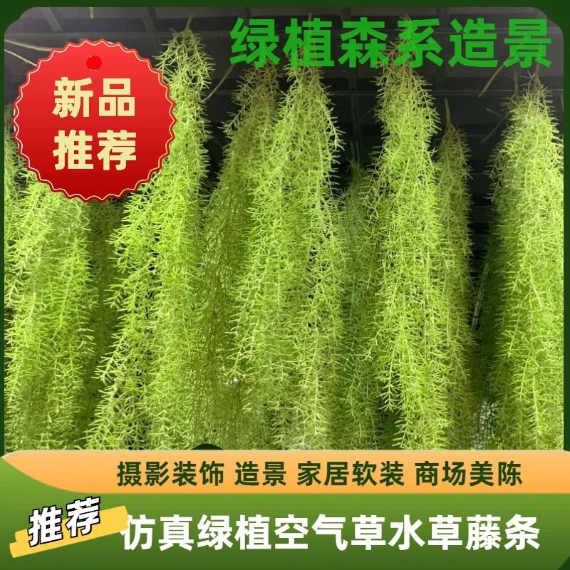 仿真水草藤条老人须绿植壁挂空气草吊顶造景橱窗婚礼美陈布置装饰
