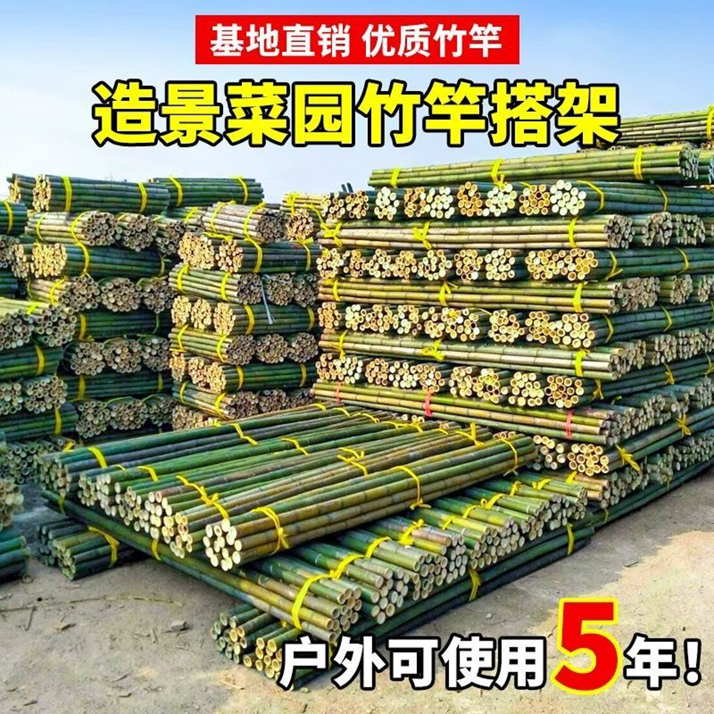 竹竿多用途园艺搭架立杆
