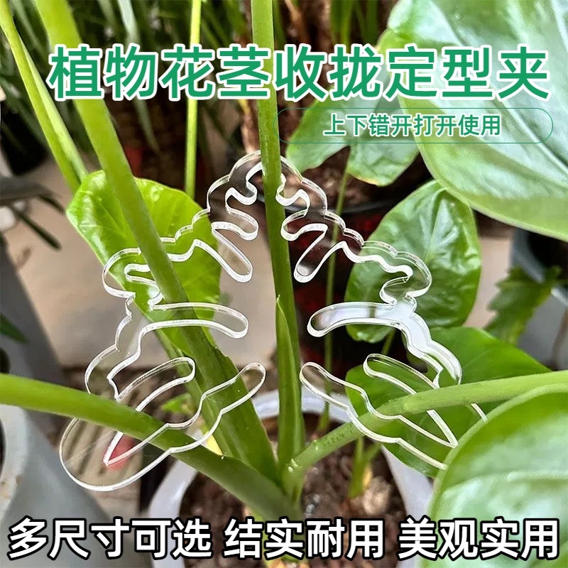 龟背竹支撑杆花支撑架枝干收拢架植物防倒伏支架绿植固定神器通用