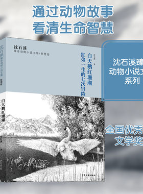 沈石溪臻奇动物小说文集/智慧卷 白天鹅红珊瑚 红弟一生的七次冒险 少年儿童出版社 沈石溪 著