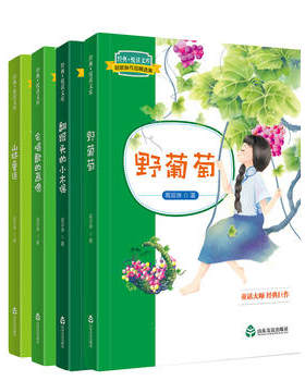 #正版包邮#现货速发#经典悦读文库 葛翠琳作品精选集：野葡萄,山林童话,会唱歌的画像,翻跟头的小木偶  共四册 童话大师 经典巨作