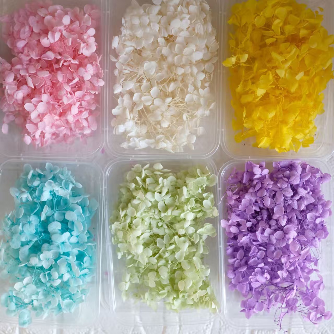 10g散装安娜小叶绣球花瓣