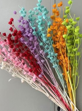 永生八角果干花花束 家居桌面插花 灵角果年轮果婚庆布置拍摄道具