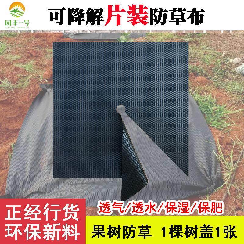 防草布农用果园果树除草布耐用透气透水保湿地膜厂家直销,农机/农具/农膜,农用防草地布/除草布,淘宝优惠券,粉丝福利购,淘宝优惠卷