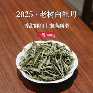 市锦2025春茶磻溪福鼎白茶花香白牡丹明前新茶高山老树散茶自己喝