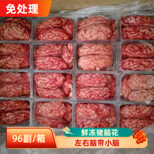 火锅猪脑96副新鲜冷冻生猪脑花左右脑自助餐烧烤火锅炖汤食材商用