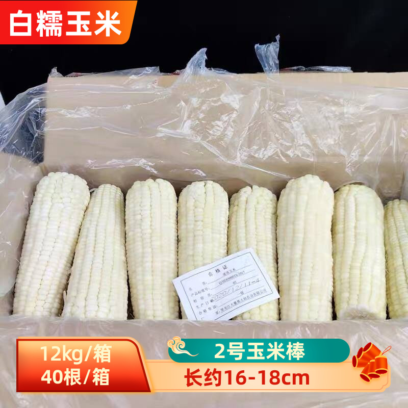 东北甜糯玉米棒2号玉米40根