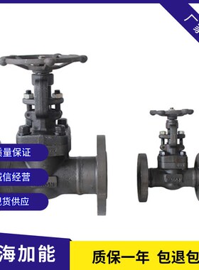 J41H-16/25锻钢闸阀导热阀耐高温蒸汽阀法兰阀DN15-50