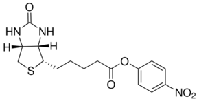 Biotin 生物素对硝基苯酯 Ester33755 Nitrophenyl