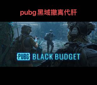 pubg黑域撤离代肝代打排位上分护航纯手打等级