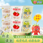 紫鸢酸奶青提芝士冰淇淋草莓低温酸奶风味发酵乳100gX10杯