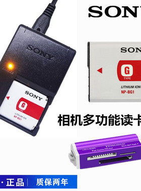 适用索尼DSC-T100 N1 N2 WX1 W300 W200T20相机电池+充电器NP-BG1