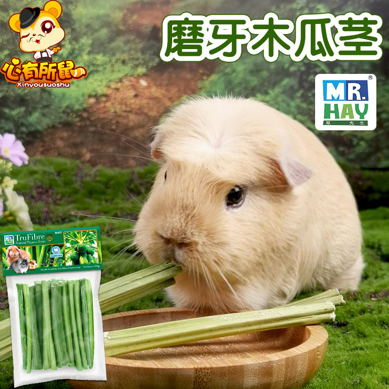 草先生绿纤脆磨牙木瓜茎龙猫豚鼠荷兰猪仓鼠兔子零食地鼠形小零食,宠物/宠物食品及用品,鼠粮,淘宝优惠券,粉丝福利购,淘宝优惠卷