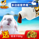 兔博士博卫健保健营养膏兔子仓鼠豚鼠龙猫营养补充剂50g