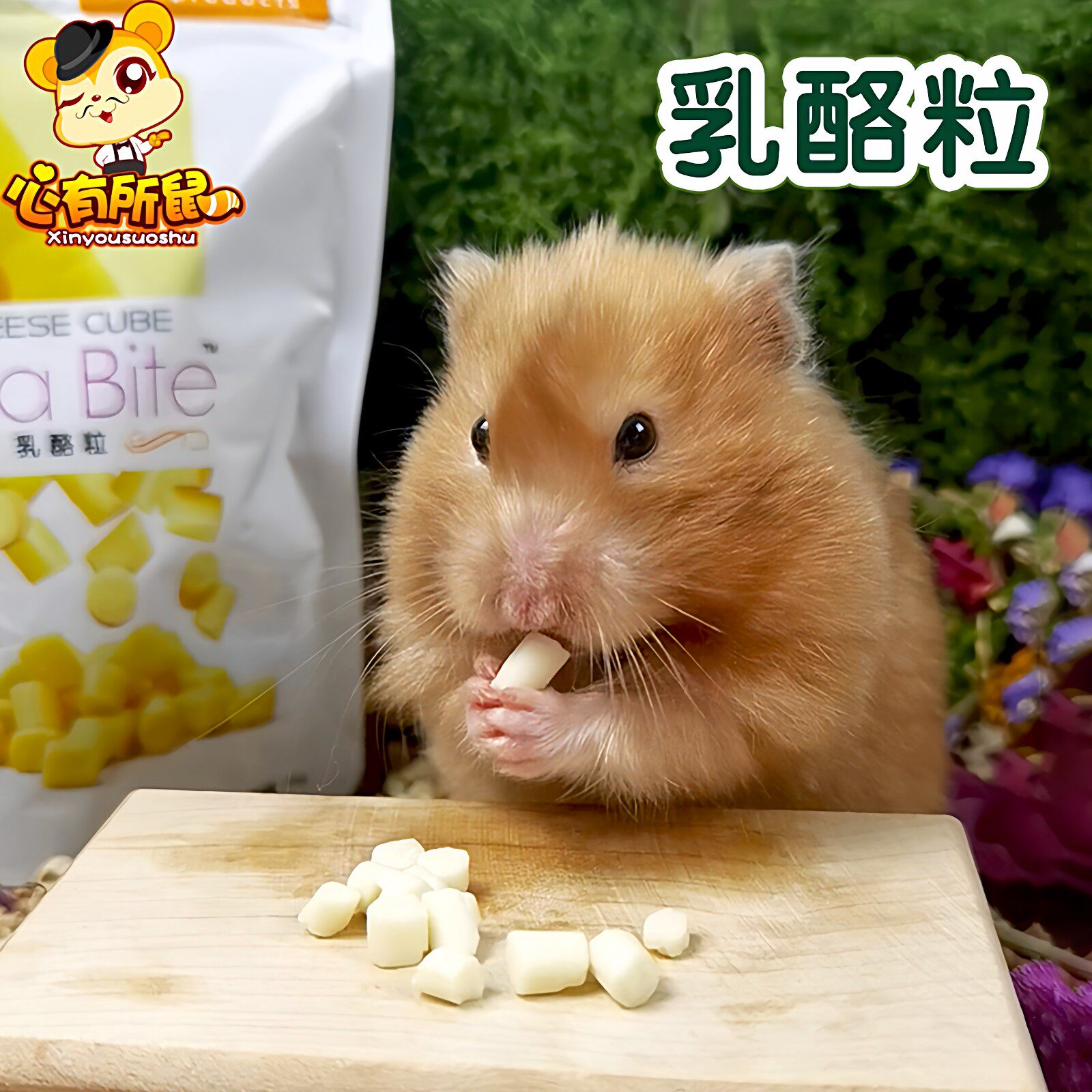 Jolly祖莉乳酪粒小动物乳制小食仓鼠零食金丝熊小零食奶酪100g