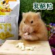 Jolly祖莉乳酪粒小动物乳制小食仓鼠零食金丝熊小零食奶酪100g