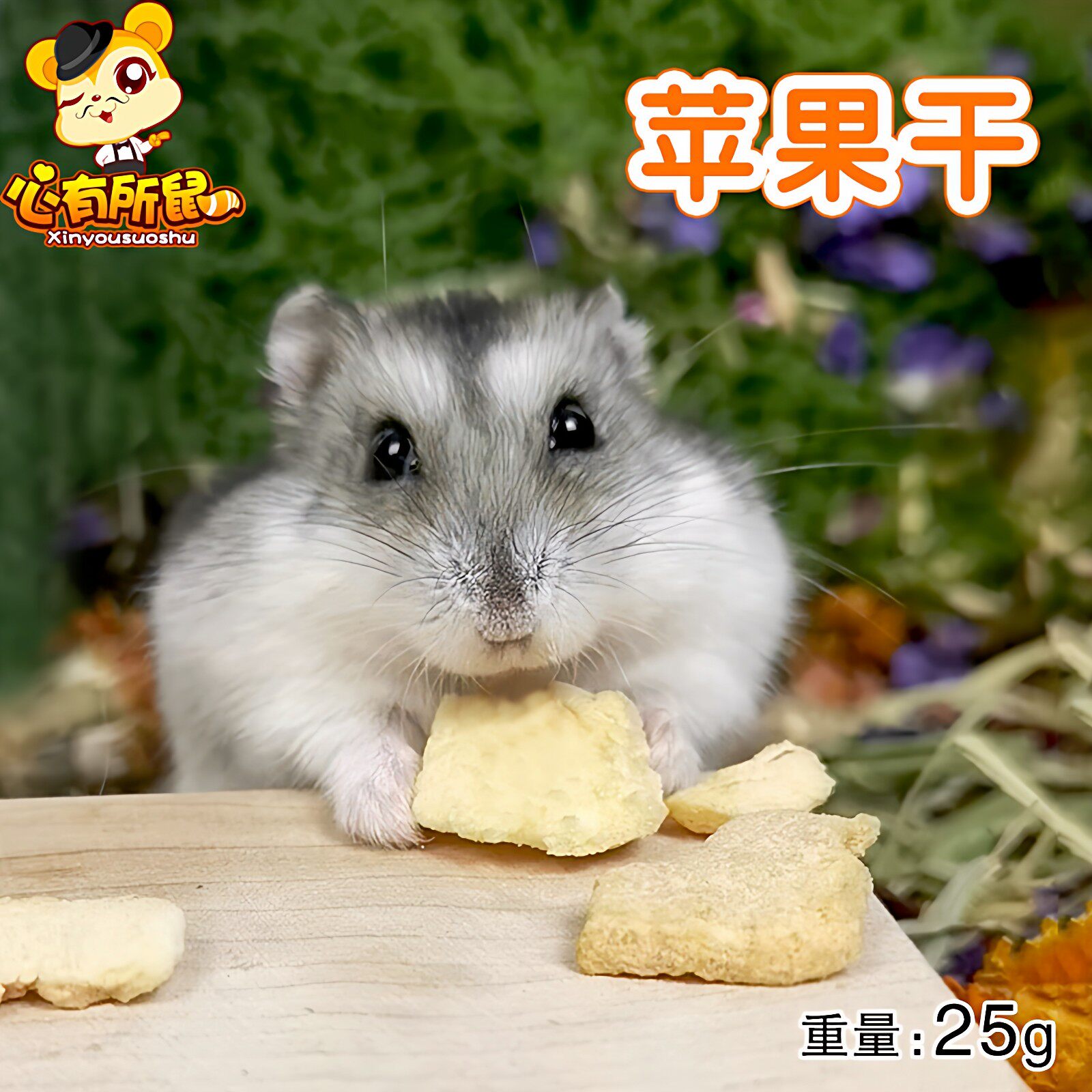 Jolly祖莉天然苹果干25g 龙猫兔子天竺鼠荷兰猪豚鼠仓鼠零食