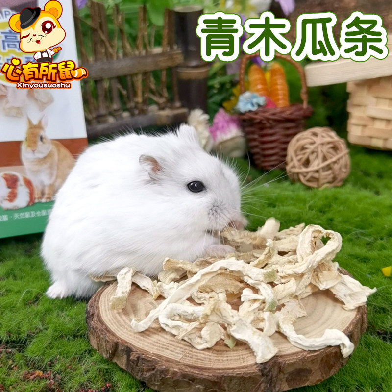 草先生青木瓜条助排毛消化兔兔龙猫荷兰猪仓鼠营养零食兔子木瓜丝