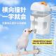 鹦鹉撞针水壶小鸟饮水器食盒鸽子虎皮外置自动喂水鸟用品大全