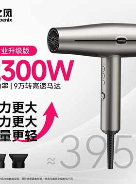 火之凤吹风机M3理发店发廊发型师