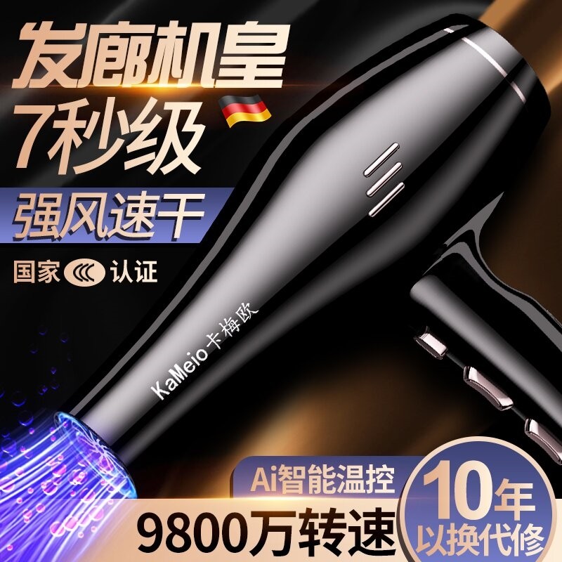 德国电吹风机发廊大风力家用负离发店专用电吹风筒子护发静音理