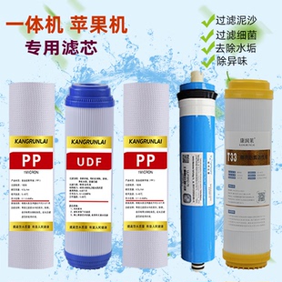 10寸五级净水器苹果机家用RO反渗透冷热一体机壁挂直饮净水机t33