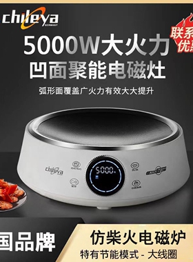 德国Chileya/智乐雅 5000W大功率磁炉家用商用爆炒火锅电磁灶炉电
