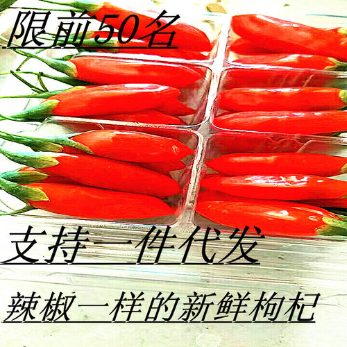 新鲜靖远宁夏特大现摘顺丰枸杞子