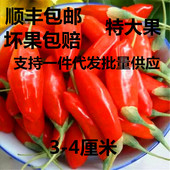 500克 包邮 新品 宁夏正宗新鲜特级鲜食水果靖远鲜枸杞子特大顺丰