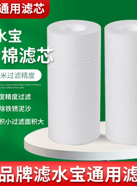 电热水器过滤器滤水宝滤芯前置马桶洗衣机花洒小型家用滤净水PP棉