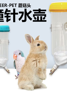 兔子撞针水壶BEITEER防啃耐咬