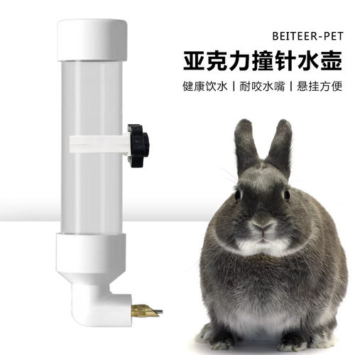 兔子金丝熊荷兰猪水壶持久耐用