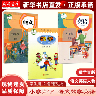 数学青岛出版 社英语人教版 小学数学口算练 新华正版 六三制 六下语数英3本套装 六年级下册语文人教版 三本套装 课本