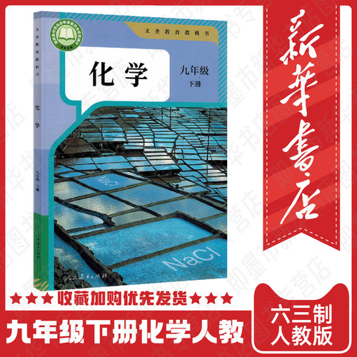 九年级下册下学期化学