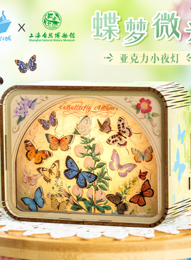 猫的天空之城上海自然博物馆蝴蝶梦微光床头小夜灯卧室女生日礼物