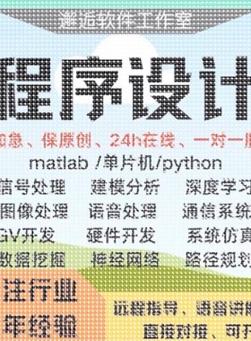 Matlab代做程序Python神经网络路径规画深度学习图像处理通信彷真